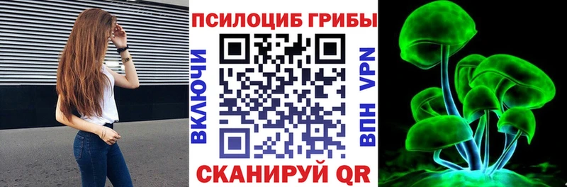 Галлюциногенные грибы Psilocybe  Купить  Ворсма 